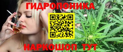 ECSTASY Баксан