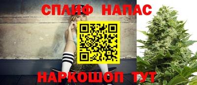 спиды Ачхой-Мартан